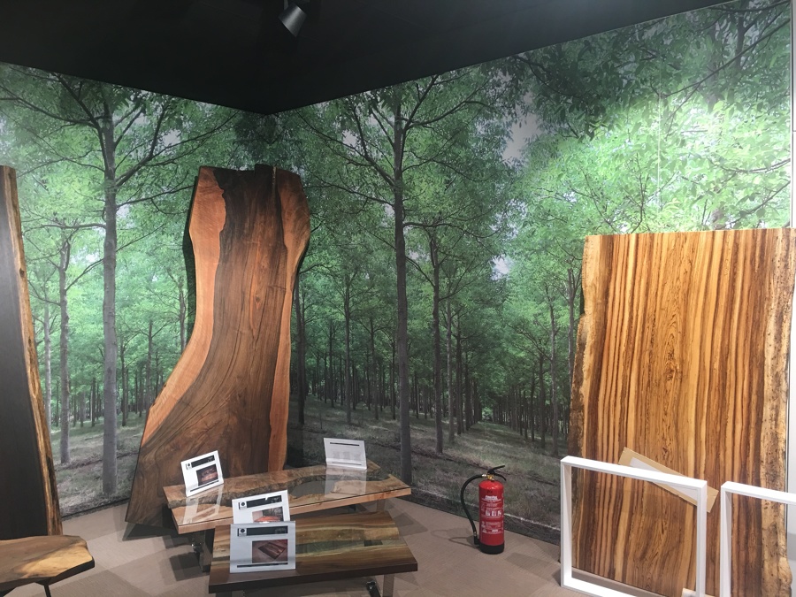 vinilos impresos pared