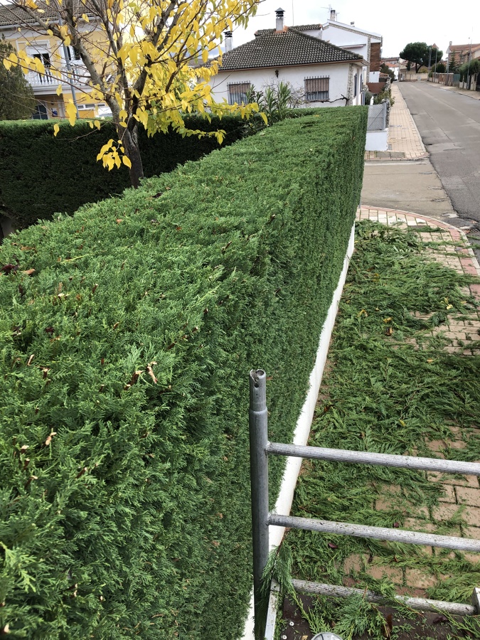 JARDINERIA EN VALLADOLID
