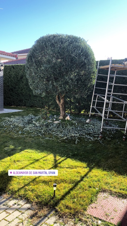 JARDINERIA EN VALLADOLID