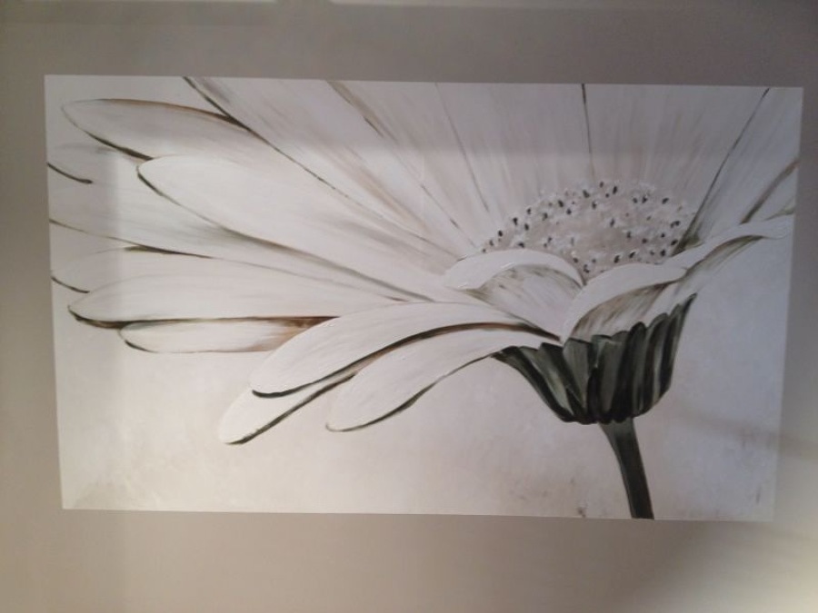 Bellas artes: dibujo