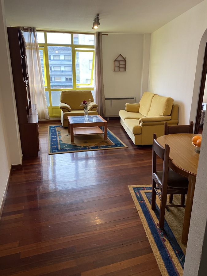 Proyecto de Pintura en Lugo