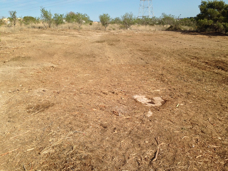 Triturado de restos de podas