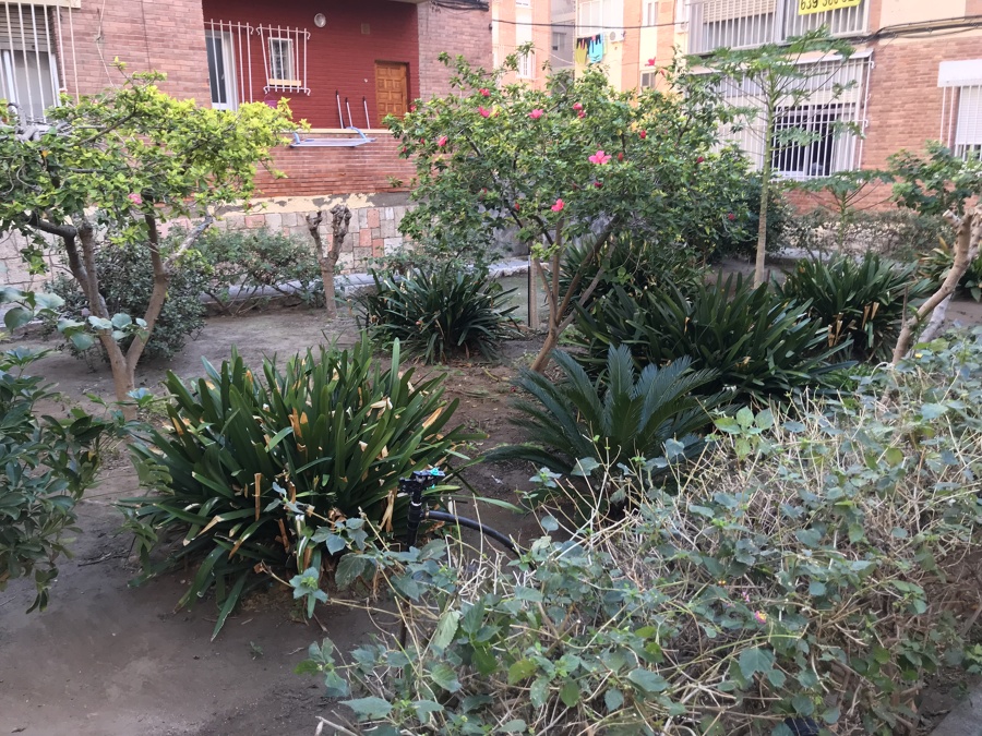 Mantenimiento de jardines comunitarios