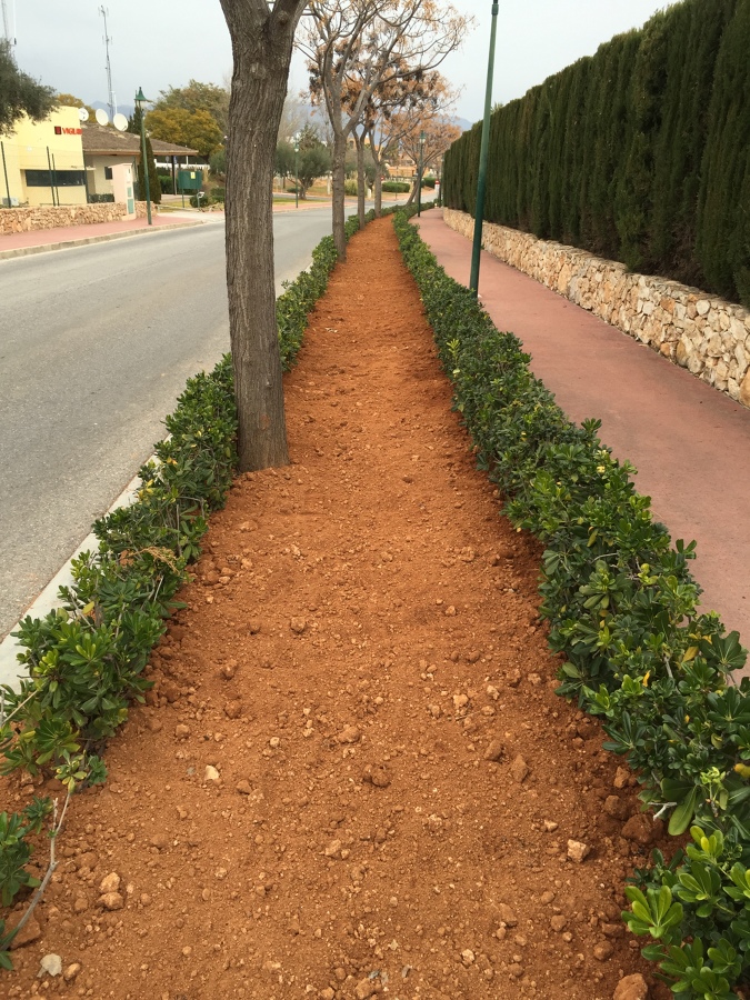 Plantaciones y riego