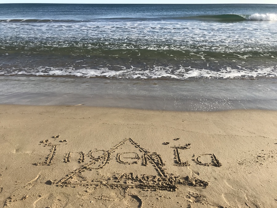 Ingenia Mudanzas... Dejando huella de calidad y prestigio donde va!!!