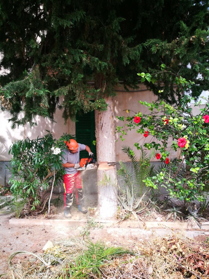 Mantenimiento de Jardín