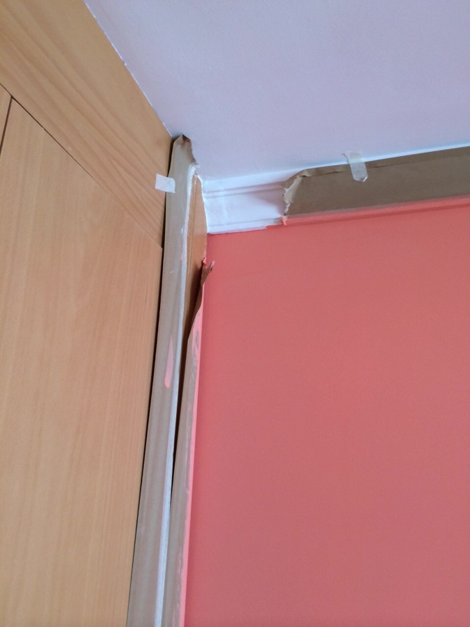 Pintura, proteccion general y perfecto acabado