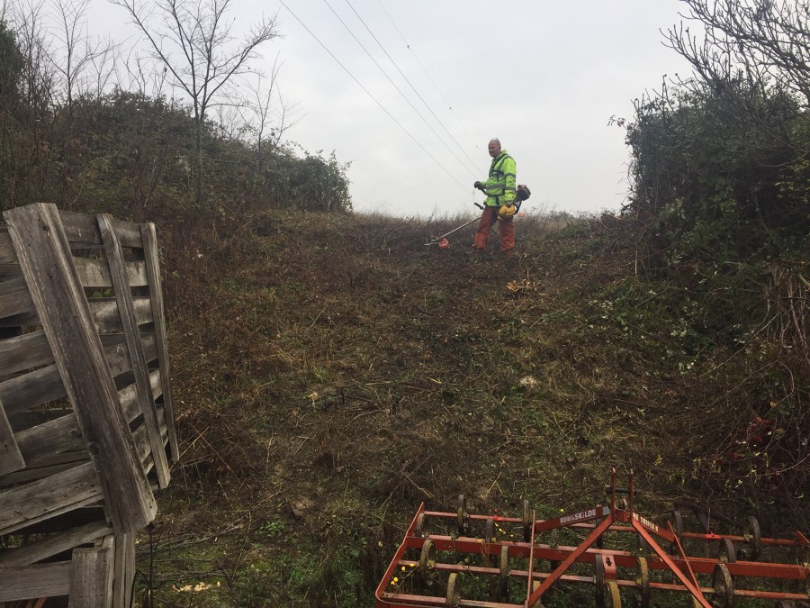 DESBROCES DE FINCAS INFESTADAS DE MALEZA