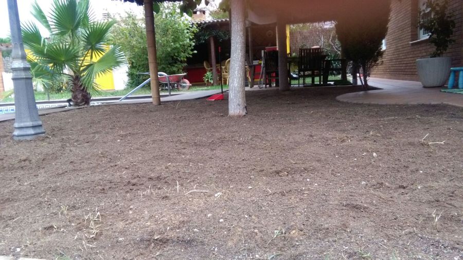 REGULARIZACION TERRENO (COLOCACION CESPED)