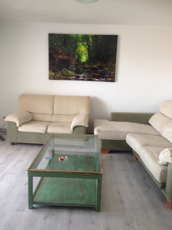 Limpieza tapicera sofás