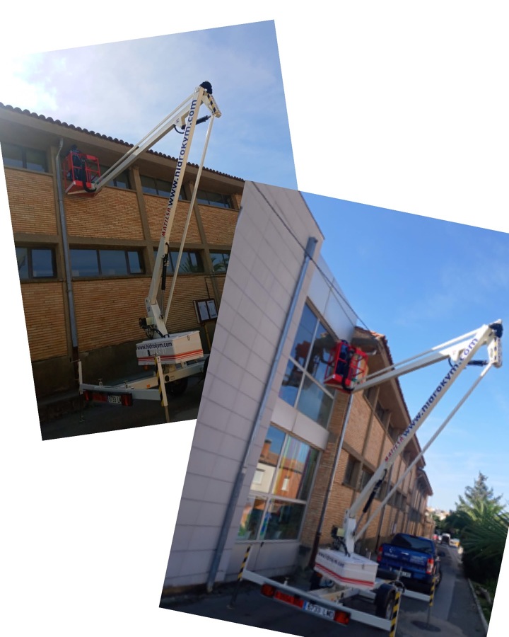 Tratamiento y retirada de avisperos