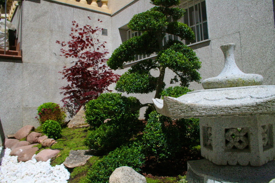 Jardin japones