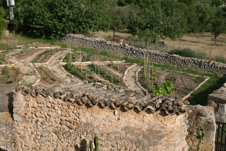 Huerto en Ruberts