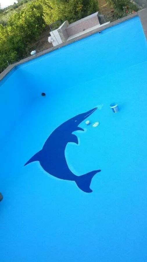 piscina y delfin
