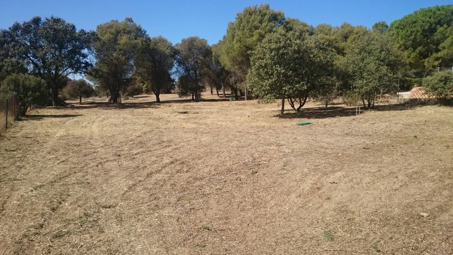 Desbroce de parcelas en venta Sevilla la Nueva