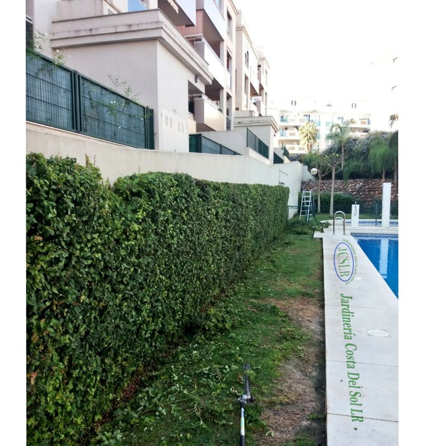 Jardinería Costa del Sol