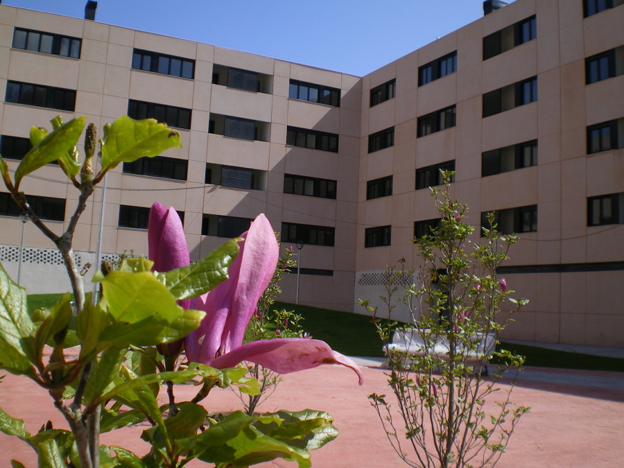 64 Viviendas de Protección Oficial, Muskiz