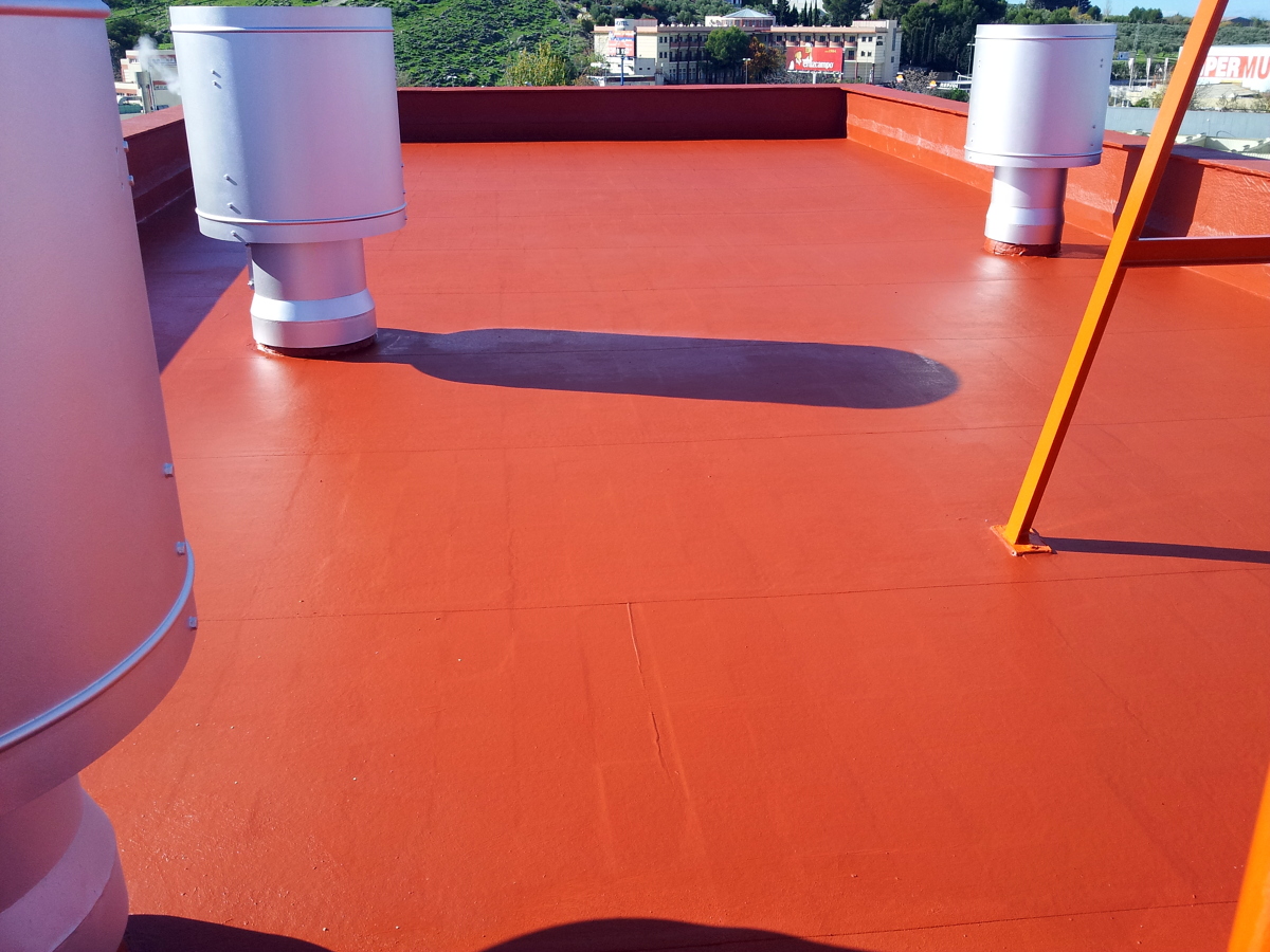 Impermeabilizacion de terraza y pintado de chimeneas