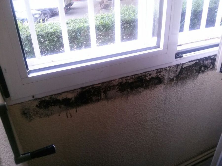 informe humedades de condensacion