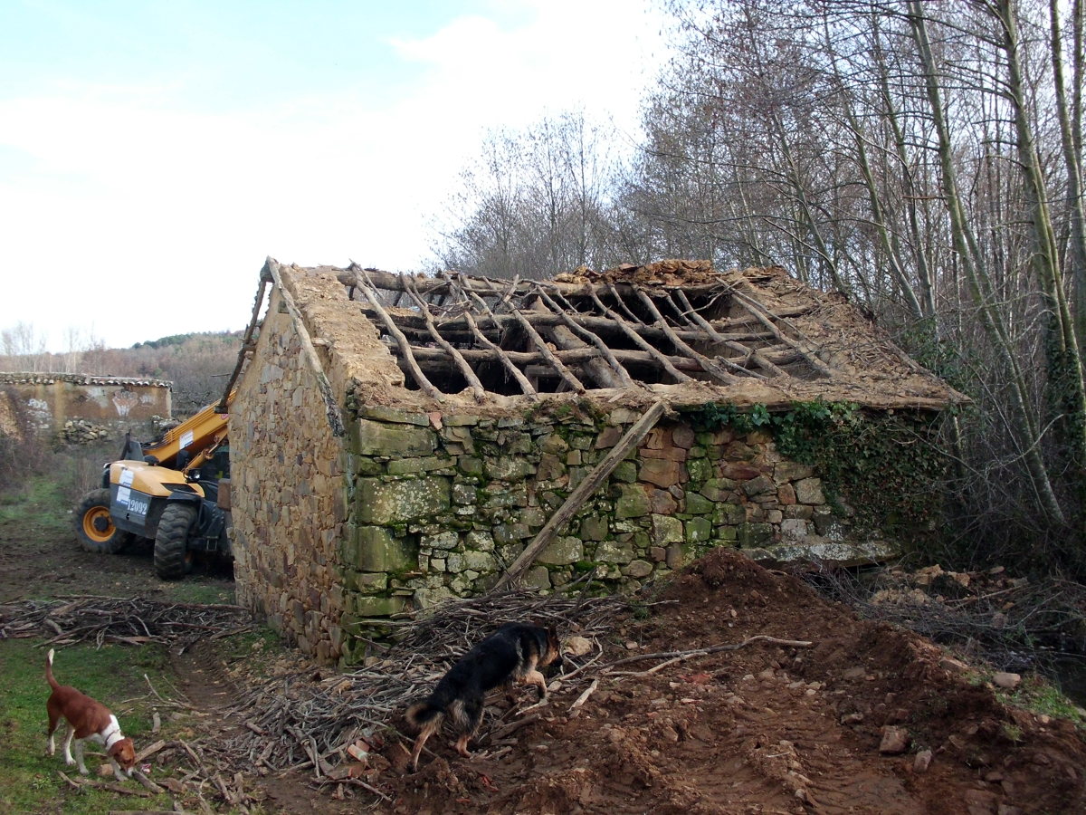 inicio rehabilitación
