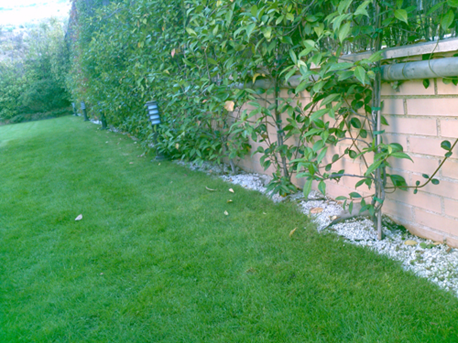 Instalación de césped natural