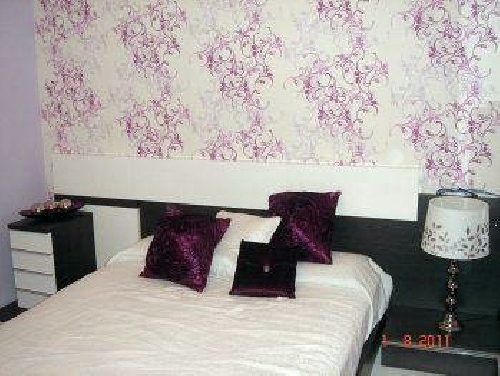 Instalación de Papel Vinilico