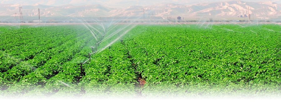 Instalación de sistemas de riego y obras en fincas agrícolas