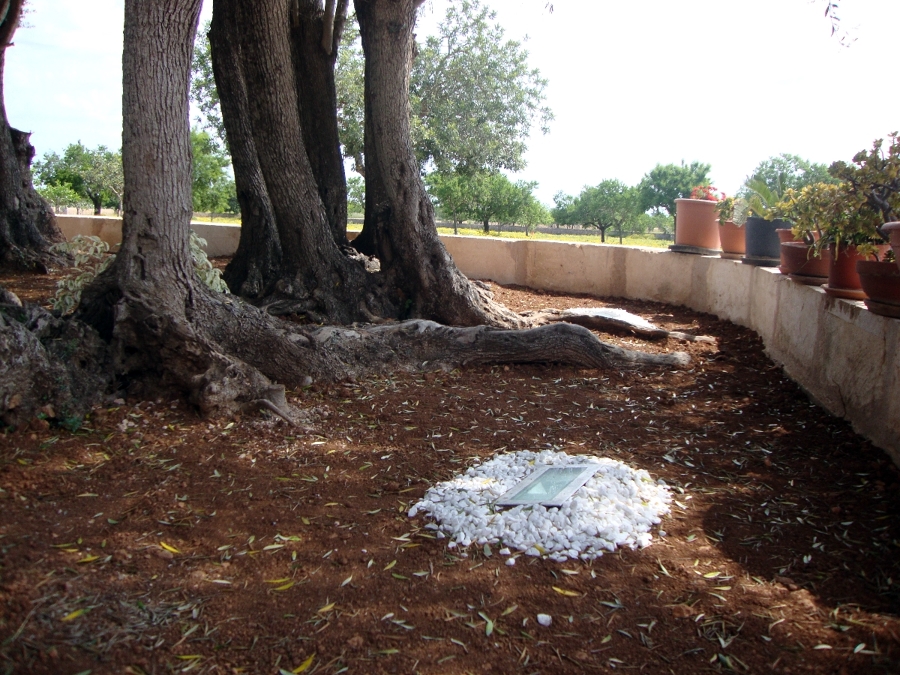 Instalacion iluminacion exterior