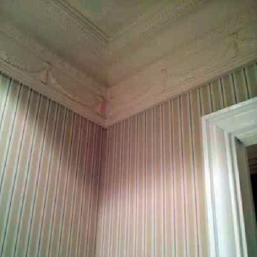 Instalación Papel Vinilico y Pintado de Molduras