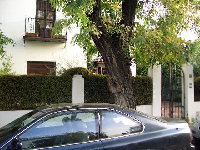 Ite en el Colegio oficial de peritos agronómos