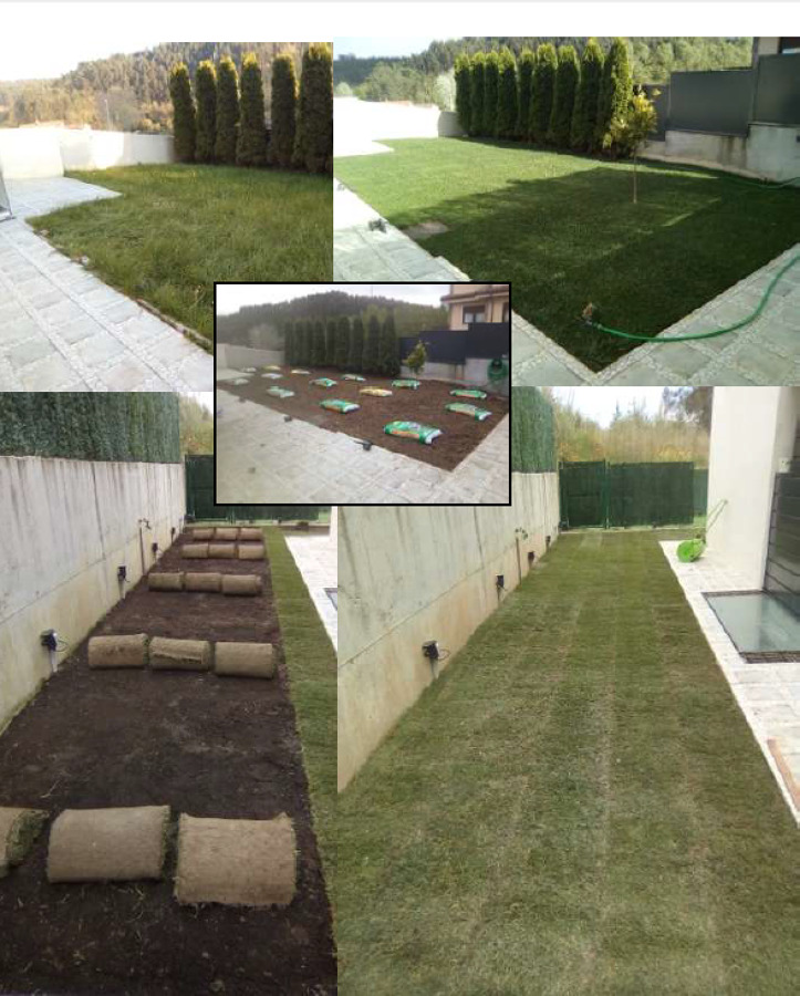 Colocación de Tepes