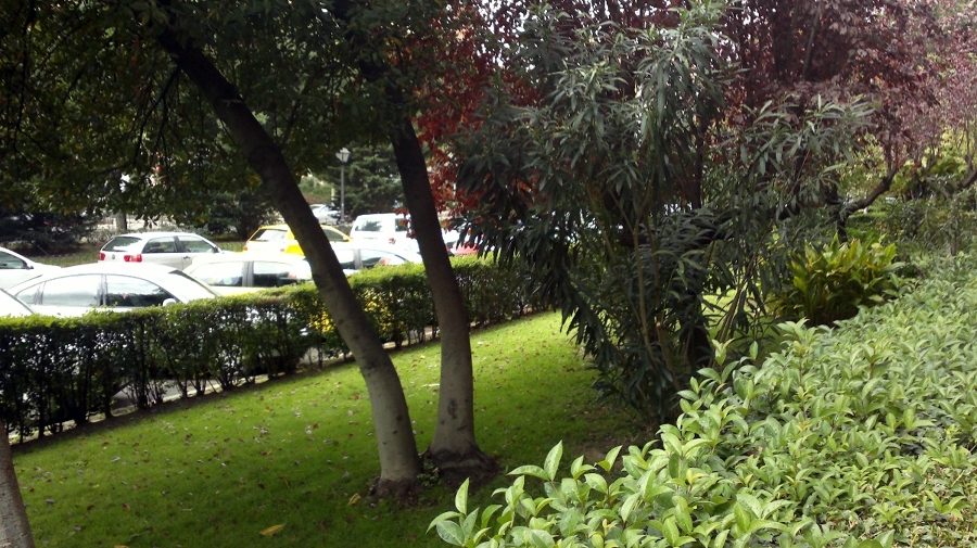 Jardín en Alcorcón