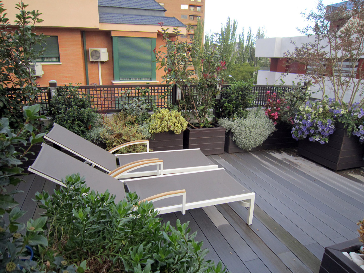 Jardin en ático de Madrid