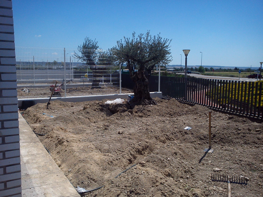 Jardín en proceso de construcción (medios manuales).