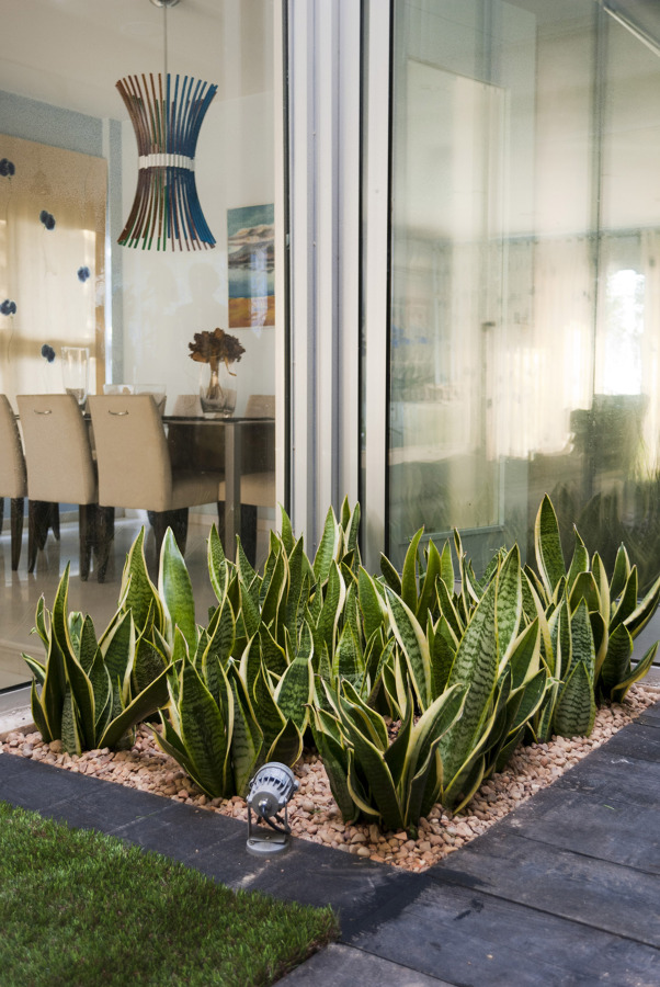 Jardín minimalista en patio interior