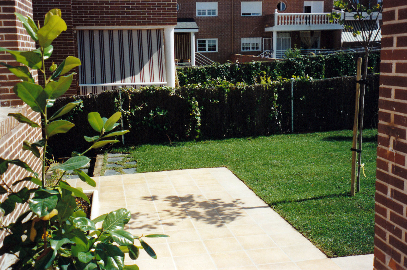 JARDIN SEVILLA LA NUEVA