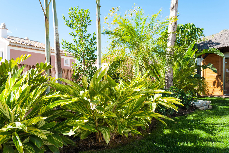 Jardín tropical en Alicante