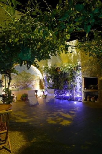 Jardín UVAS&CHERRYS