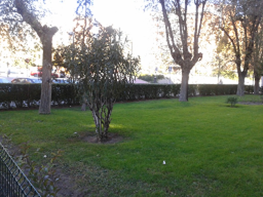 MUESTRA DE ALGUNOS DE NUESTROS TRABAJOS