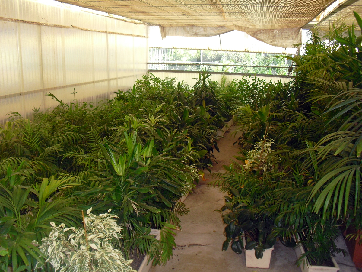 Jardineras para alquiler