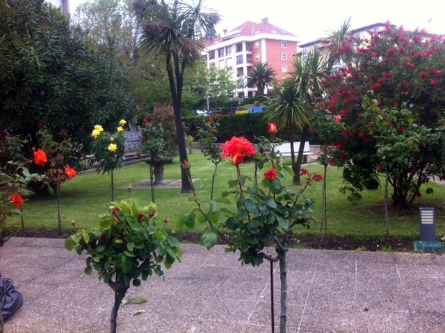 jardineria colegio reina inmaculada