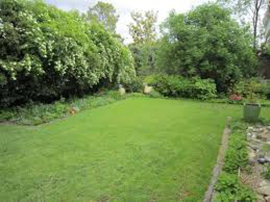 Jardineria construcio i Manteniment