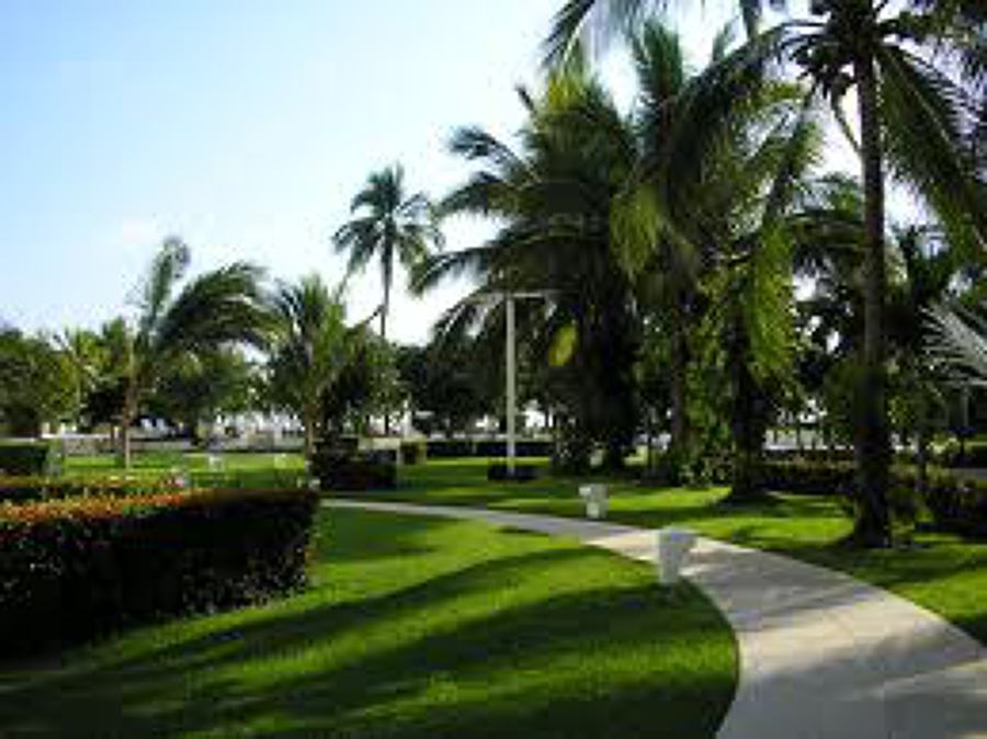 Jardineria construcio i Manteniment