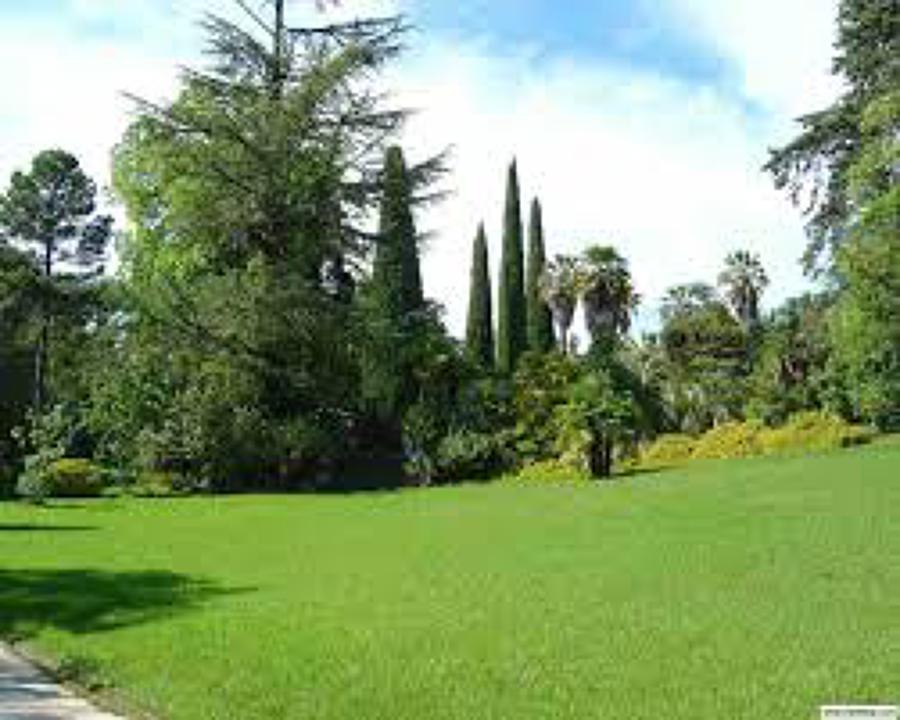 Jardineria construcio i Manteniment