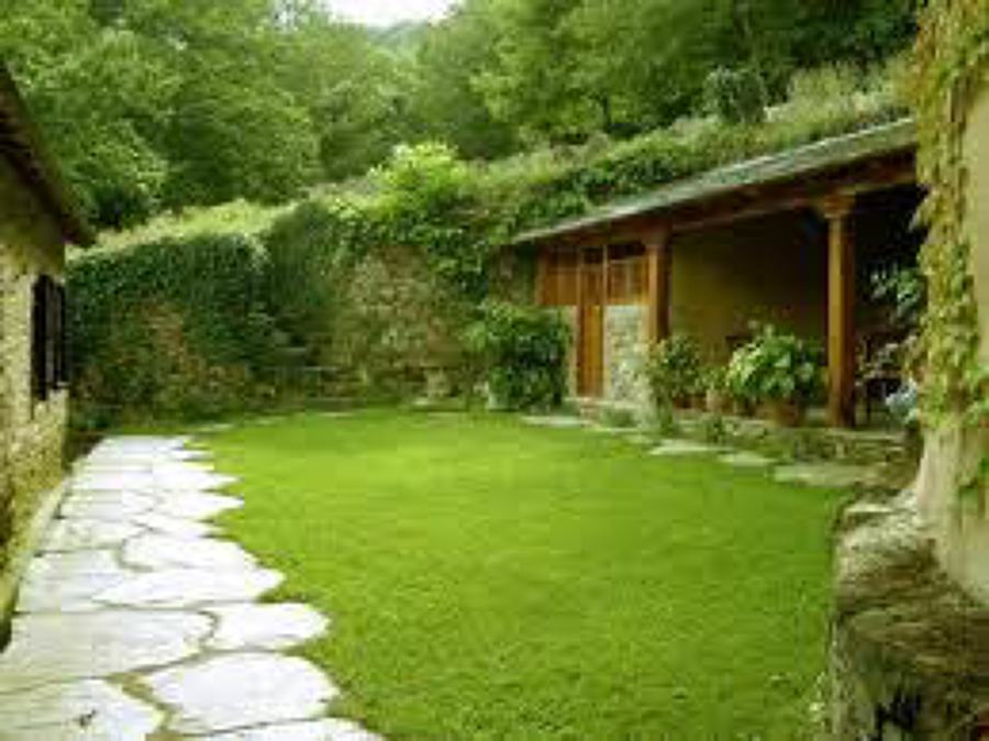 Jardineria construcio i Manteniment