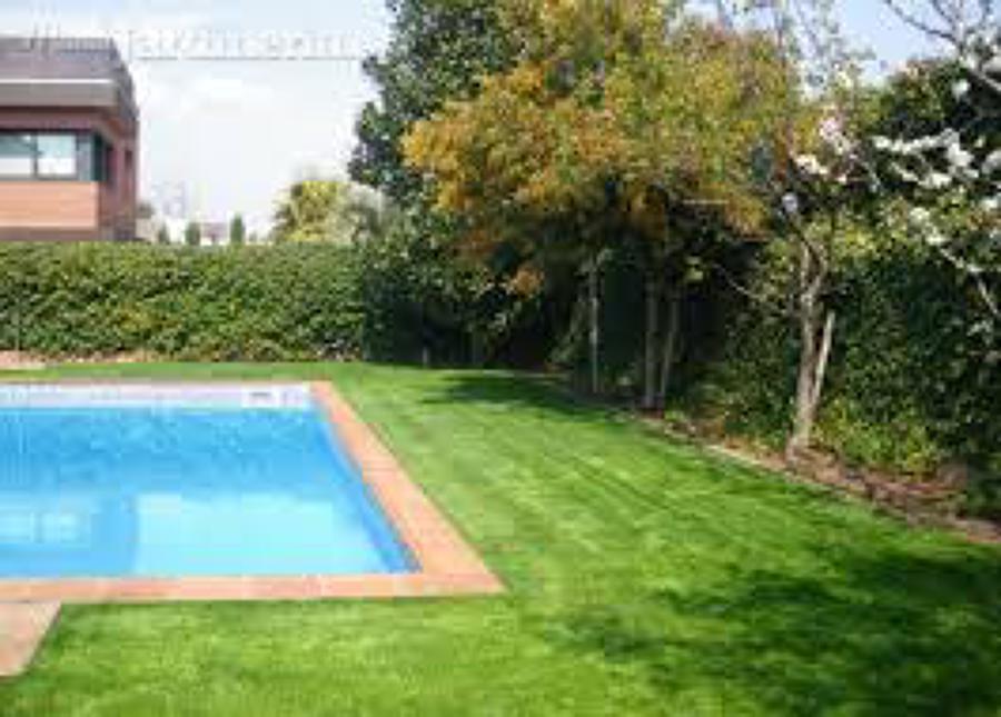 Jardineria construcio i Manteniment