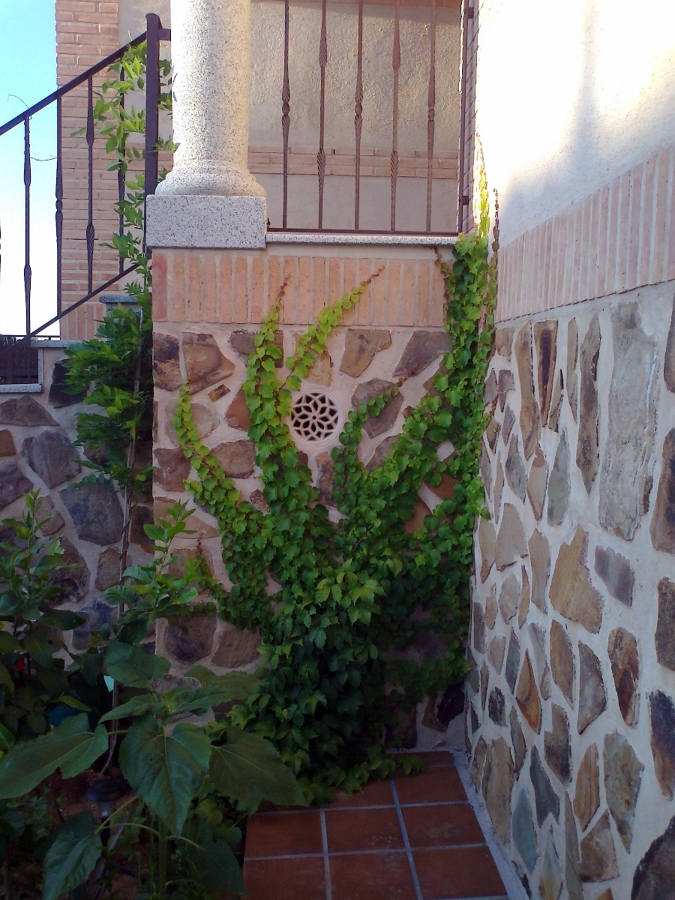 Jardinería Oubiña y Pecci diseño y floristería en Toledo