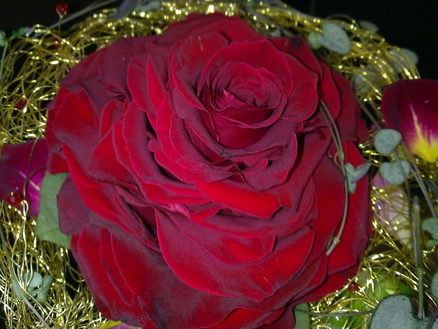 Jardinería Oubiña y Pecci diseño y floristería en Toledo