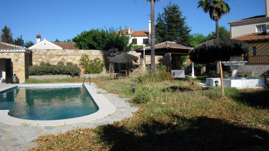 Jardineria sevilla-Puesta a punto-1