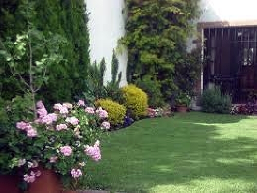 Jardineria
